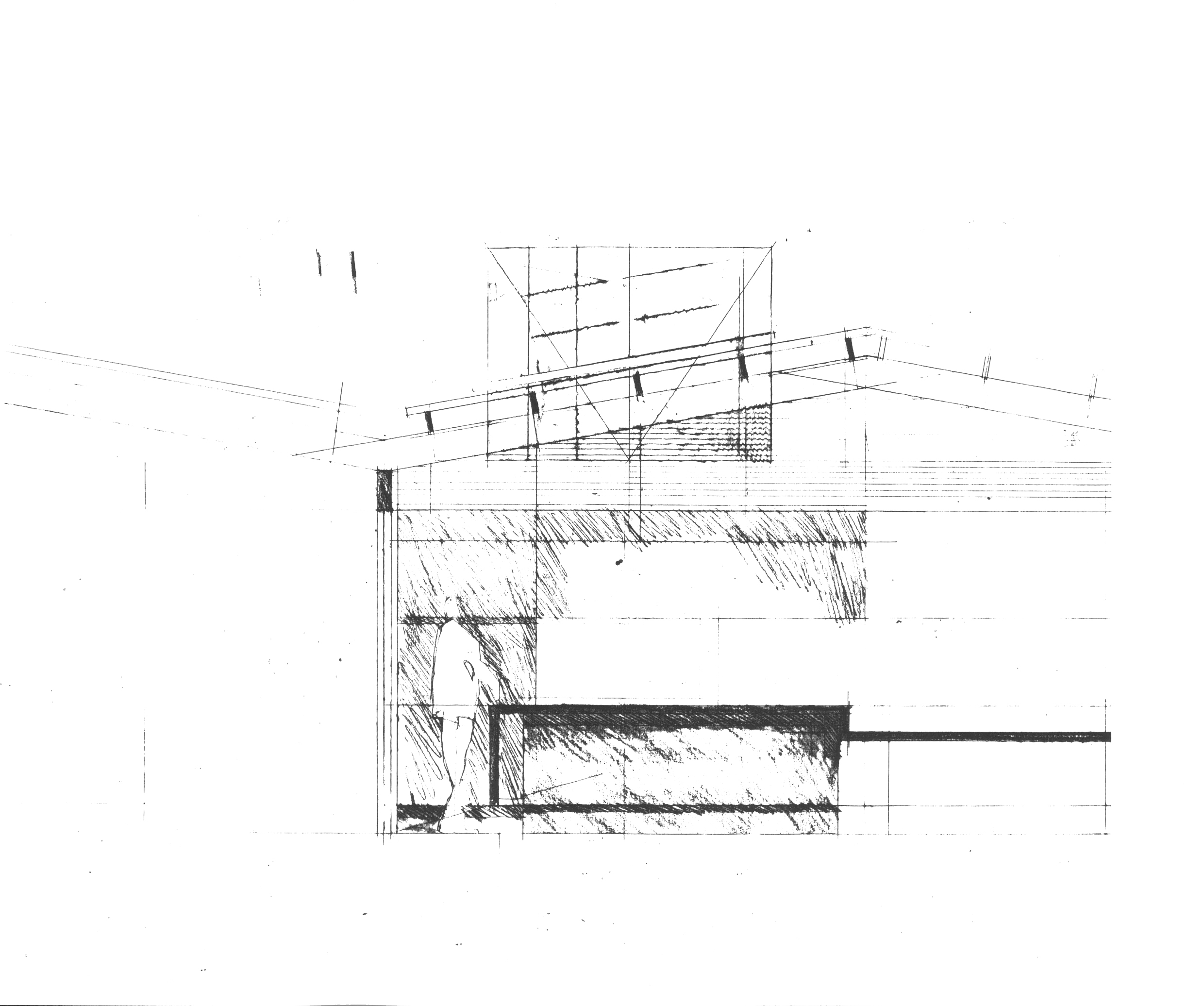 sketch_section_clean - Architectus New Zealand